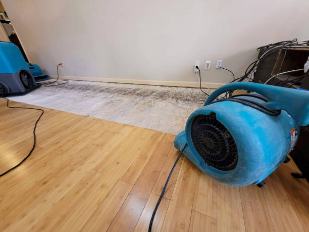 Professional Basement Flood Cleanup technician working in Manitou Springs, CO